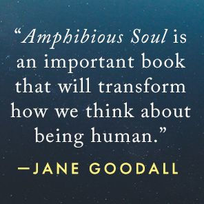 Amphibious Soul: Finding the Wild in a Tame World