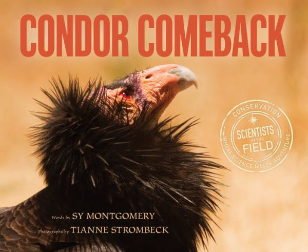 Condor Comeback