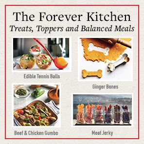 The Forever Dog Life: 120+ Recipes, Longevity Tips, and New Science for Better Bowls and Healthier Homes