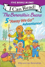 The Berenstain Bears: Five 