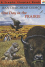 One Day in the Prairie