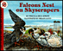 Falcons Nest on Skyscrapers