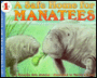 A Safe Home for Manatees