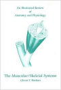 An Muscular/Skeletal Systems
