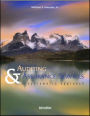 Auditing and Assurance Services: A Systematic Approach / Edition 3