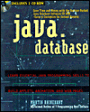Java Database Development
