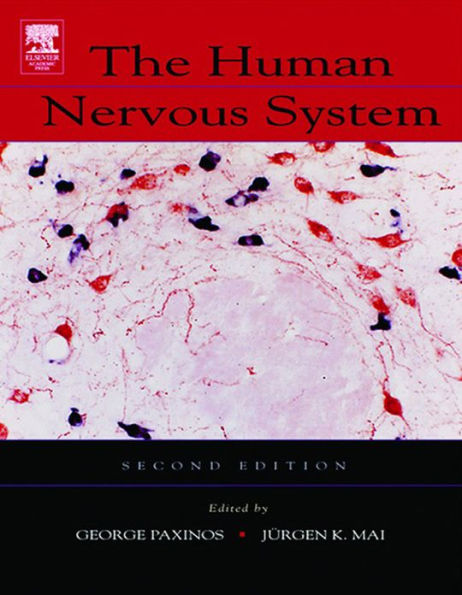 The Human Nervous System