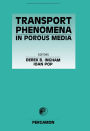 Transport Phenomena in Porous Media