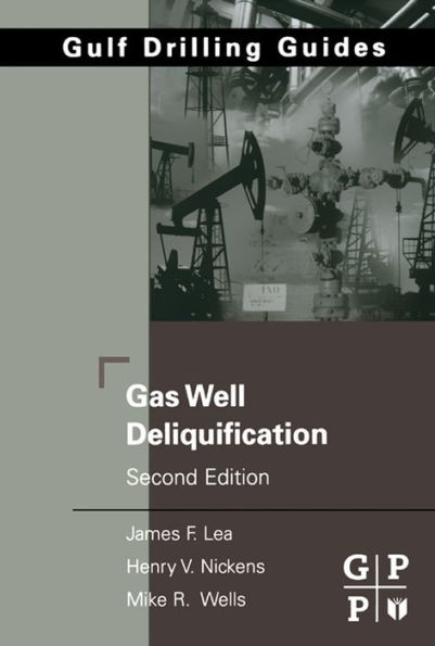 Gas Well Deliquification