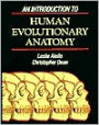 An Introduction to Human Evolutionary Anatomy / Edition 1