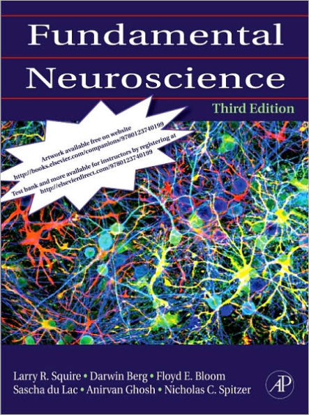 Fundamental Neuroscience / Edition 3