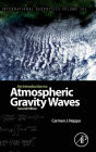 An Introduction to Atmospheric Gravity Waves / Edition 2