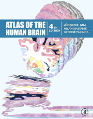 Title: Atlas of the Human Brain / Edition 4, Author: Juergen K Mai