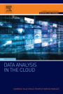 Data Analysis in the Cloud: Models, Techniques and Applications