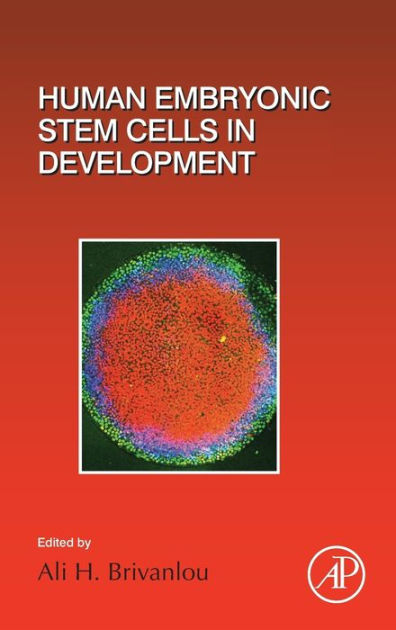 Human Embryonic Stem Cells In Development By Ali H Brivanlou 9780128042519 Hardcover