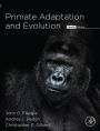 Primate Adaptation and Evolution
