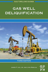 Title: Gas Well Deliquification / Edition 3, Author: James F. Lea Jr.