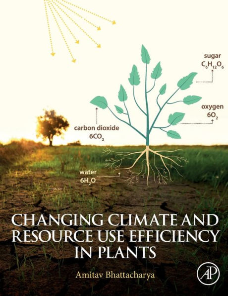 Changing Climate and Resource use Efficiency in Plants