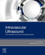 Intravascular Ultrasound: From Acquisition to Advanced Quantitative Analysis