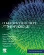 Corrosion Protection at the Nanoscale
