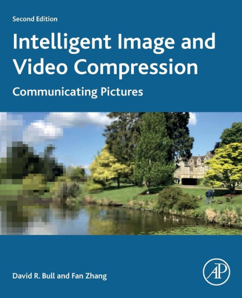 Intelligent Image and Video Compression: Communicating Pictures / Edition 2