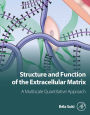 Structure and Function of the Extracellular Matrix: A Multiscale Quantitative Approach