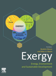 Title: Exergy: Energy, Environment and Sustainable Development, Author: Ibrahim Dincer