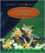 Teaching Science as Inquiry / Edition 9
