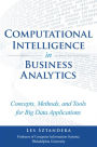 Computational Intelligence in Business Analytics: Concepts, Methods, and Tools for Big Data Applications