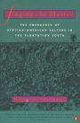 Singing the Master: The Emergence of African-American Culture in the Plantation South