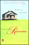 South of Resurrection