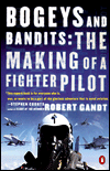 Bogeys and Bandits: The Making of a Fighter Pilot