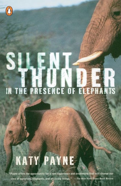 Silent Thunder: In the Presence of Elephants