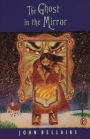The Ghost in the Mirror (Lewis Barnavelt Series #4)