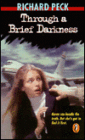 Through a Brief Darkness