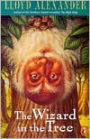 The Wizard in the Tree