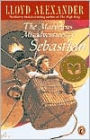 The Marvelous Misadventures Of Sebastian