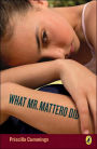What Mr. Mattero Did