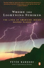 Where the Lightning Strikes: The Lives of American Indian Sacred Places