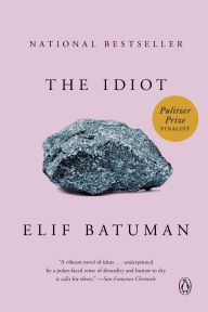 Title: The Idiot, Author: Elif Batuman