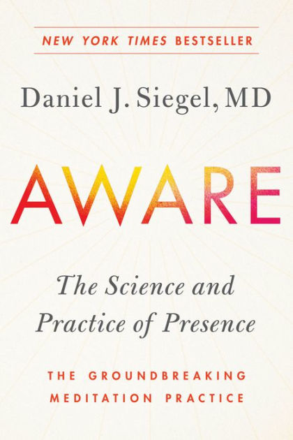 Being Aware of Being Aware: The Essence of Meditation, Volume 1