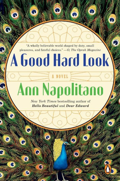 A Good Hard Look: A Novel