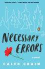 Necessary Errors: A Novel