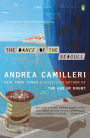 The Dance of the Seagull (Inspector Montalbano Series #15)