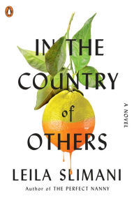 Title: In the Country of Others: A Novel, Author: Leila Slimani