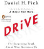 Drive: The Surprising Truth About What Motivates Us