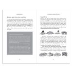 Alternative view 2 of A Complete History of India