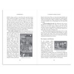 Alternative view 4 of A Complete History of India