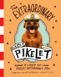 The Extraordinary Life of Pikelet