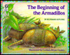 Beginning of the Armadillos